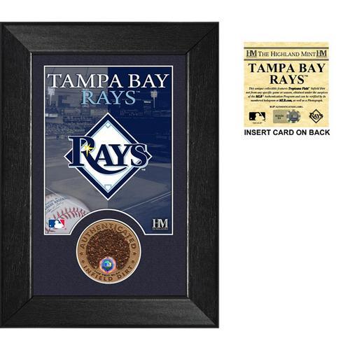 Tampa Bay Rays Infield Dirt Coin Mini Mint