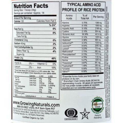 Growing Naturals Organic Raw Rice Protein - Chocolate Power - 16.8 oz