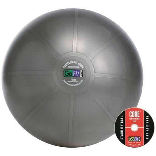 GoFit(R) GF-75PRO Professional Grade Core Stability Ball (75cm; Silver)