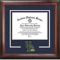 University of Delaware Spirit" Diploma Frame"