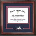 University of North Florida Spirit" Diploma Frame"