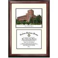 DePaul University Scholar" Diploma Frame"