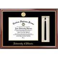 University of Illinois, Urbana-Champaign Tassel Box and Diploma Frame