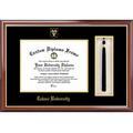 Tulane University Tassel Box and Diploma Frame