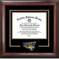 Towson University Spirit" Diploma Frame"