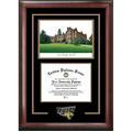 Towson University Spirit" Graduate Frame with Campus Image"