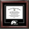 Eastern Michigan University Spirit" Diploma Frame"