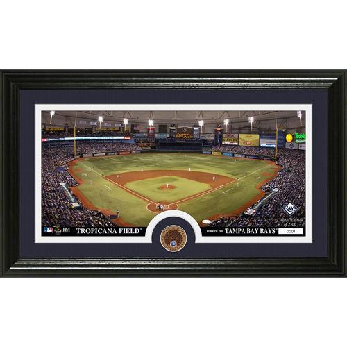 Tampa Bay Rays Infield Dirt Coin Panoramic Photo Mint