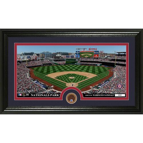 Washington Nationals Infield Dirt Coin Panoramic Photo Mint