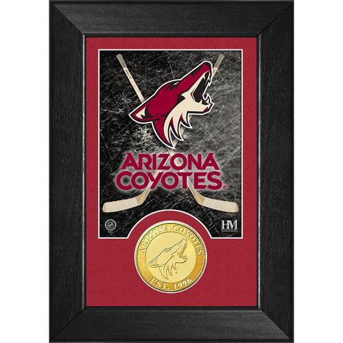 Arizona Coyotes Bronze Coin Mini Mint