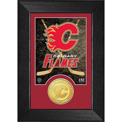 Calgary Flames Bronze Coin Mini Mint