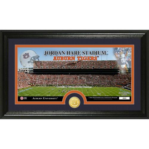 Auburn University inStadiumin Bronze Coin Panoramic Photo Mint