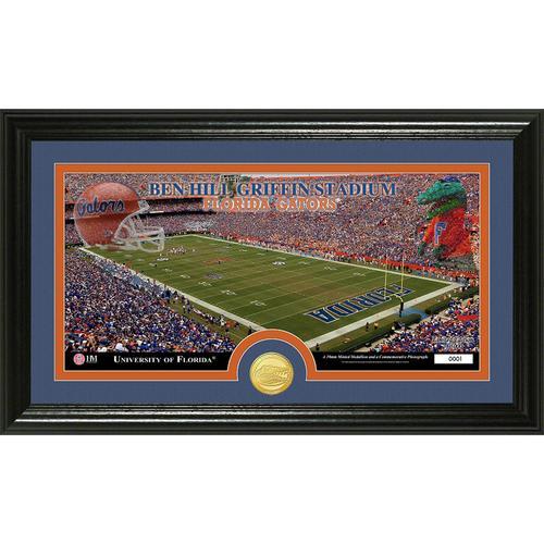 University of Florida inStadiumin Bronze Coin Panoramic Photo Mint