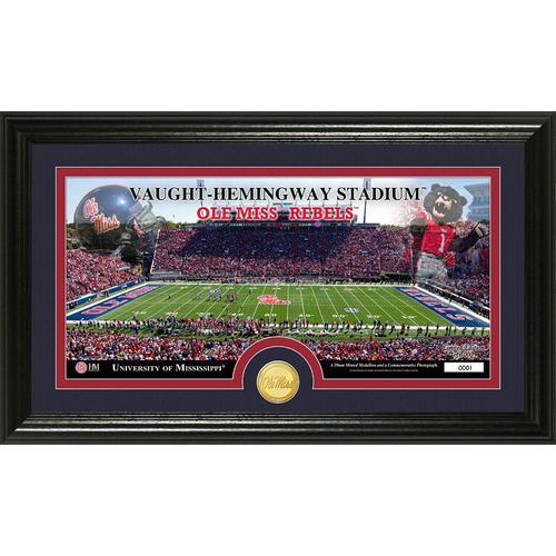 University of Mississippi  inStadiumin Bronze Coin Panoramic Photo Mint