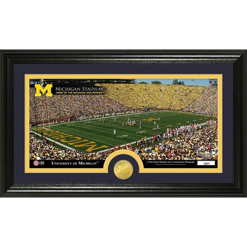 University Of Michigan inStadiumin Bronze Coin Panoramic Photo Mint