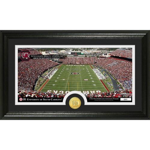 University of South Carolina inStadiumin Bronze Coin Panoramic Photo Mint