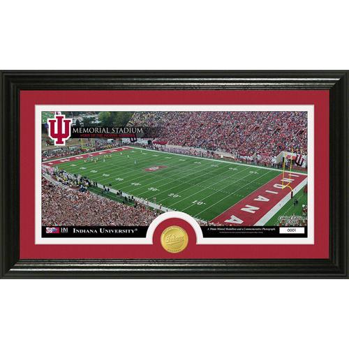 Indiana University inStadiumin Bronze Coin Panoramic Photo Mint