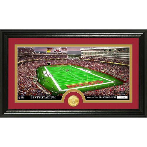 San Francisco 49ers inStadiumin Bronze Coin Panoramic Photo Mint