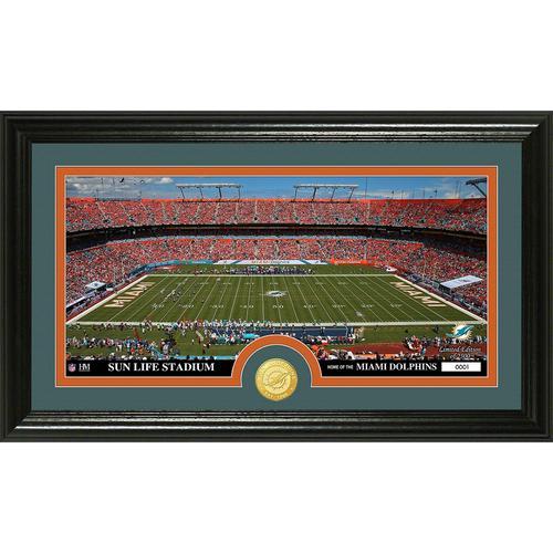 Miami Dolphins inStadiumin Bronze Coin Panoramic Photo Mint