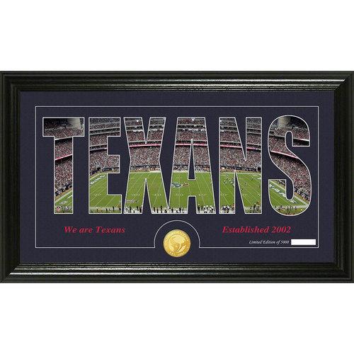 Houston Texans Silhouette" Bronze Coin Panoramic Photo Mint"