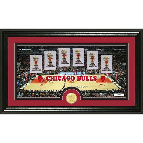 Chicago Bulls inTraditionsin Bronze Coin Panoramic Photo Mint