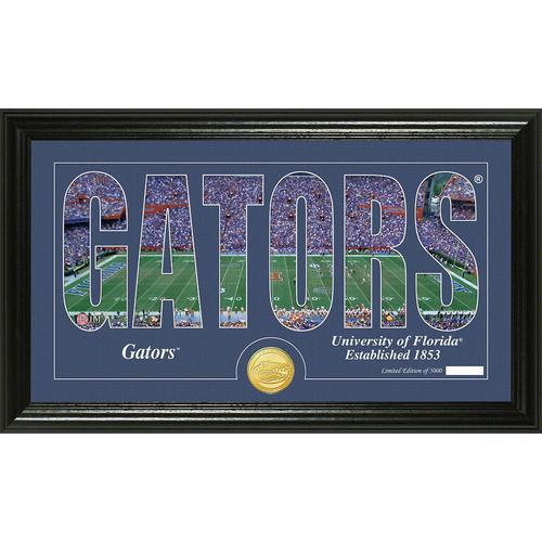 University of Florida Silhouette" Bronze Coin Panoramic Photo Mint"