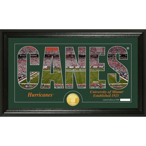 University of Miami Silhouette" Bronze Coin Panoramic Photo Mint"