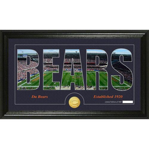 Chicago Bears Silhouette" Bronze Coin Panoramic Photo Mint"