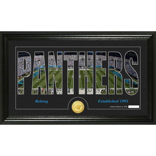 Carolina Panthers Silhouette" Bronze Coin Panoramic Photo Mint"