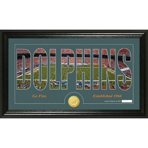 Miami Dolphins Silhouette" Bronze Coin Panoramic Photo Mint"