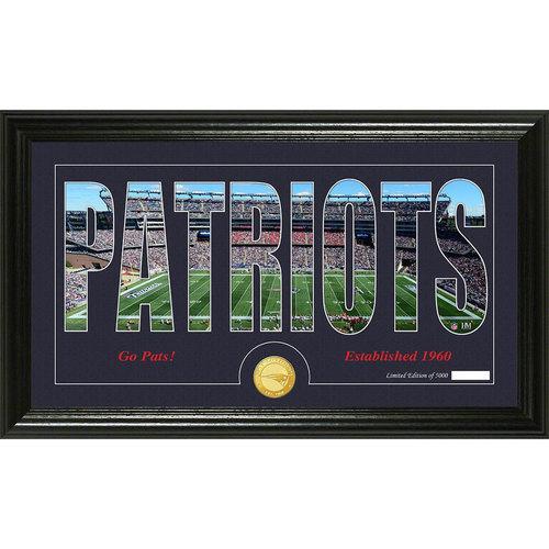 New England Patriots Silhouette" Bronze Coin Panoramic Photo Mint"