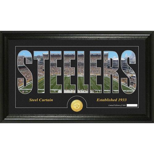 Pittsburgh Steelers Silhouette" Bronze Coin Panoramic Photo Mint"