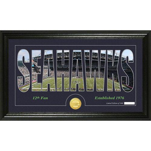 Seattle Seahawks Silhouette" Bronze Coin Panoramic Photo Mint"