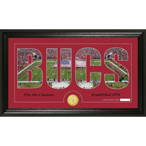 Tampa Bay Buccaneers Silhouette" Bronze Coin Panoramic Photo Mint"