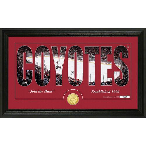 Arizona Coyotes Silhouette" Bronze Coin Panoramic Photo Mint"