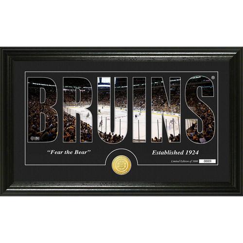 Boston Bruins Silhouette" Bronze Coin Panoramic Photo Mint"