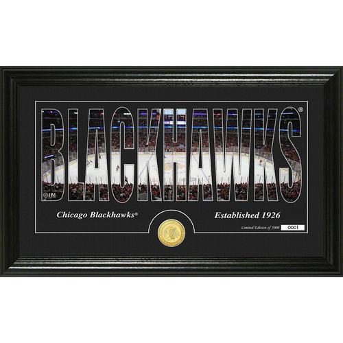 Chicago Blackhawks Silhouette" Bronze Coin Panoramic Photo Mint"