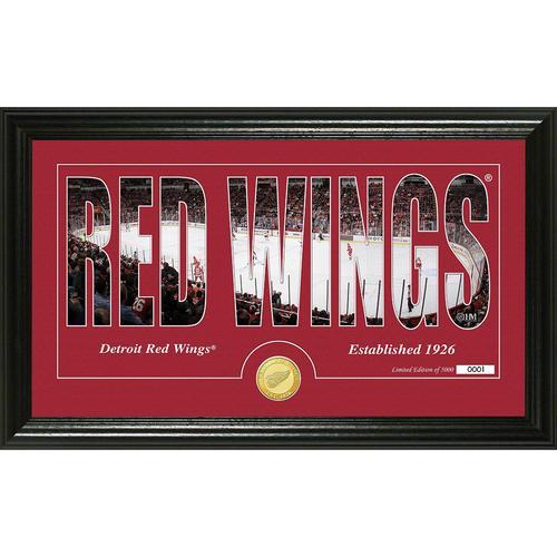 Detroit Red Wings Silhouette" Bronze Coin Panoramic Photo Mint"