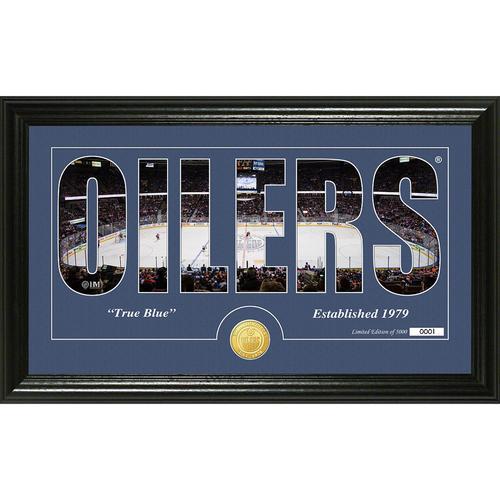 Edmonton Oilers Silhouette" Bronze Coin Panoramic Photo Mint"