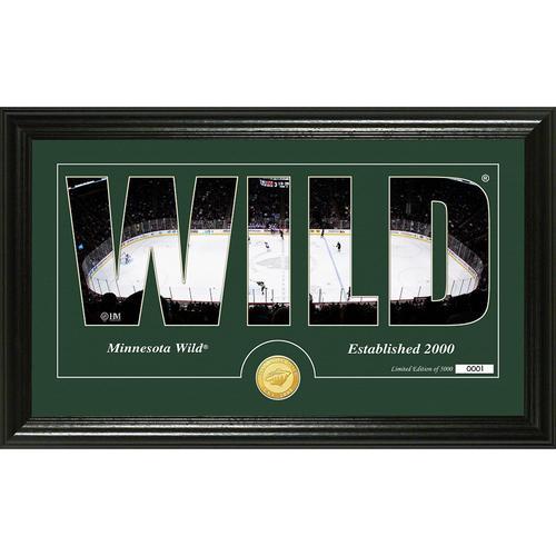 Minnesota Wild Silhouette" Bronze Coin Panoramic Photo Mint"