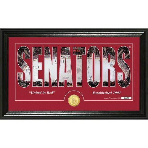 Ottawa Senators Silhouette" Bronze Coin Panoramic Photo Mint"