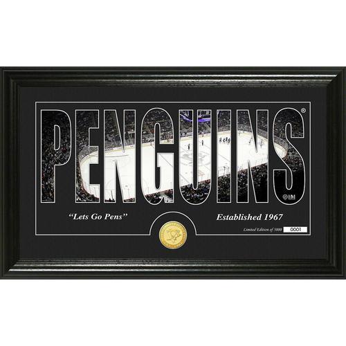 Pittsburgh Penguins Silhouette" Bronze Coin Panoramic Photo Mint"