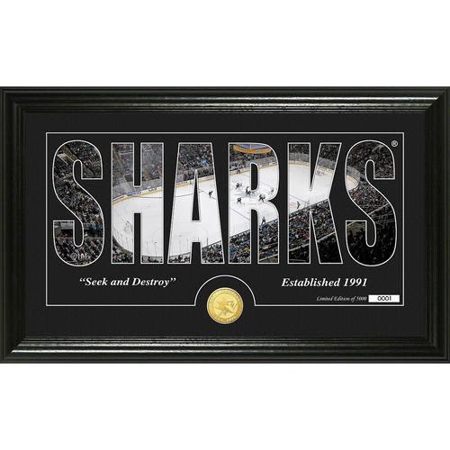 San Jose Sharks Silhouette" Bronze Coin Panoramic Photo Mint"