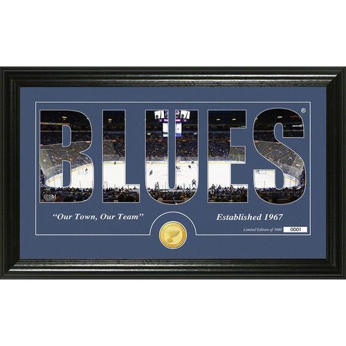 St. Louis Blues Silhouette" Bronze Coin Panoramic Photo Mint"