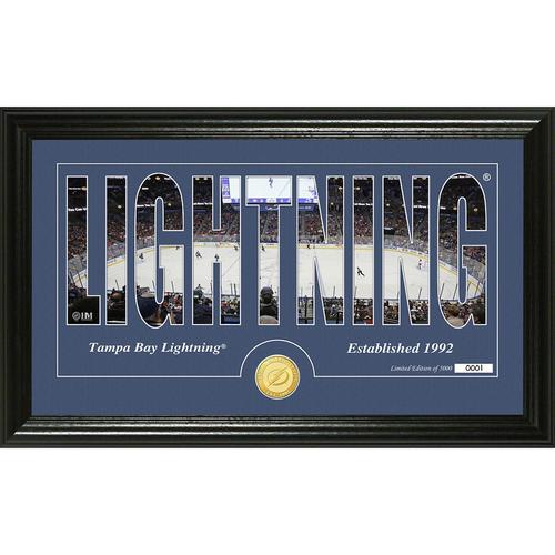 Tampa Bay Lightning Silhouette" Bronze Coin Panoramic Photo Mint"