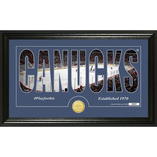 Vancouver Canucks Silhouette" Bronze Coin Panoramic Photo Mint"