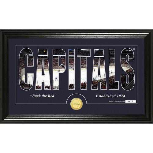 Washington Capitals Silhouette" Bronze Coin Panoramic Photo Mint"